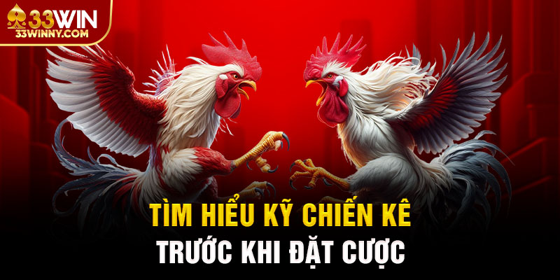 Tìm hiểu chiến kê trước khi tham gia đá gà 33Win