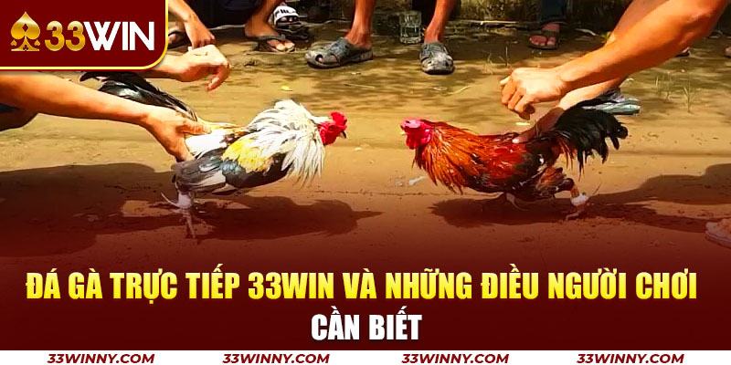 9-da-ga-truc-tiep-33win-va-nhung-dieu-nguoi-choi-can-biet